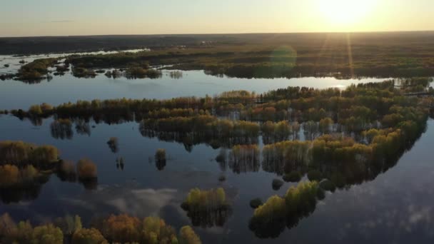 Άνοιξη Ηλιοβασίλεμα Στο Πλημμυρισμένο Δάσος Θέα Από Drone — Αρχείο Βίντεο