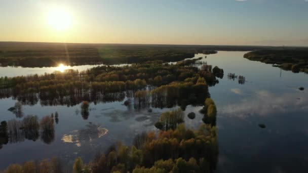 Printemps Coucher Soleil Sur Forêt Inondée Vue Depuis Drone — Video