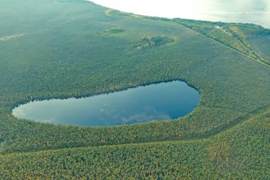 Tayga gölünün koyu mavi yüzeyi koyu yeşil ormanlarla çevrilidir. İnsansız hava aracından bir görüntü, kuş bakışı bir görüntü. Gündüz vakti insanların olmadığı bir yaz taigası manzarası..