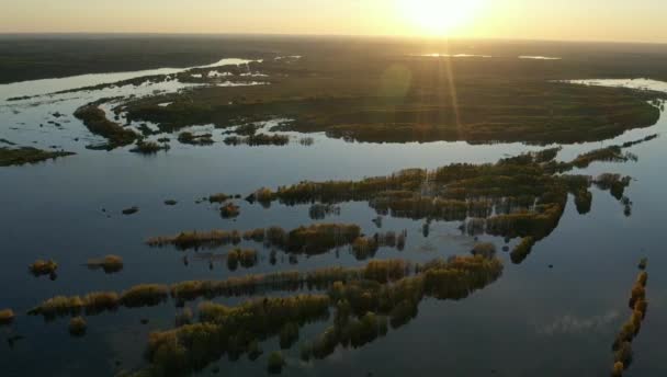 Frühling Sonnenuntergang Über Dem Überfluteten Wald Blick Von Einer Drohne — Stockvideo