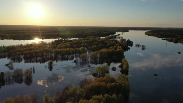 Primavera Puesta Sol Sobre Bosque Inundado Vista Desde Dron Sobre — Vídeo de stock