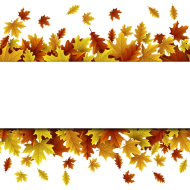 Akçaağaç ve meşe yaprağı ile sonbahar arka plan