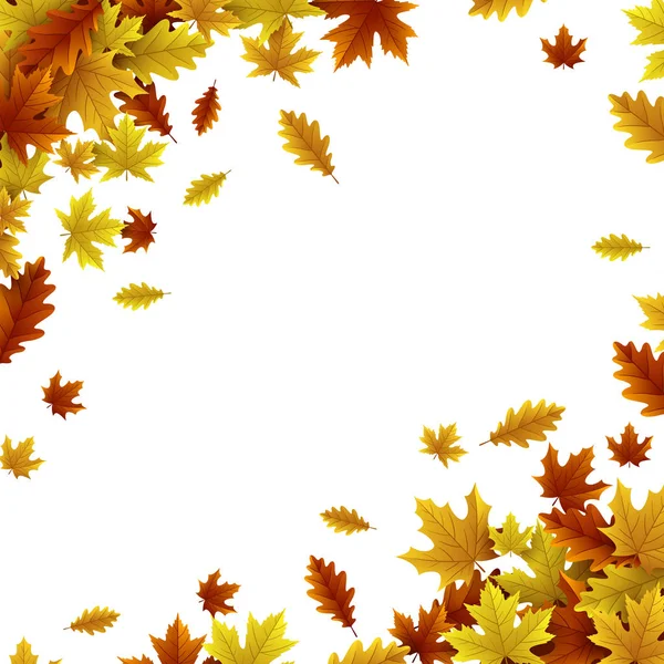 Осенний Фон Кленовыми Дубовыми Листьями — стоковый вектор