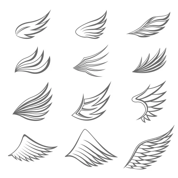 Set Gray Wings White Background — Stock Vector