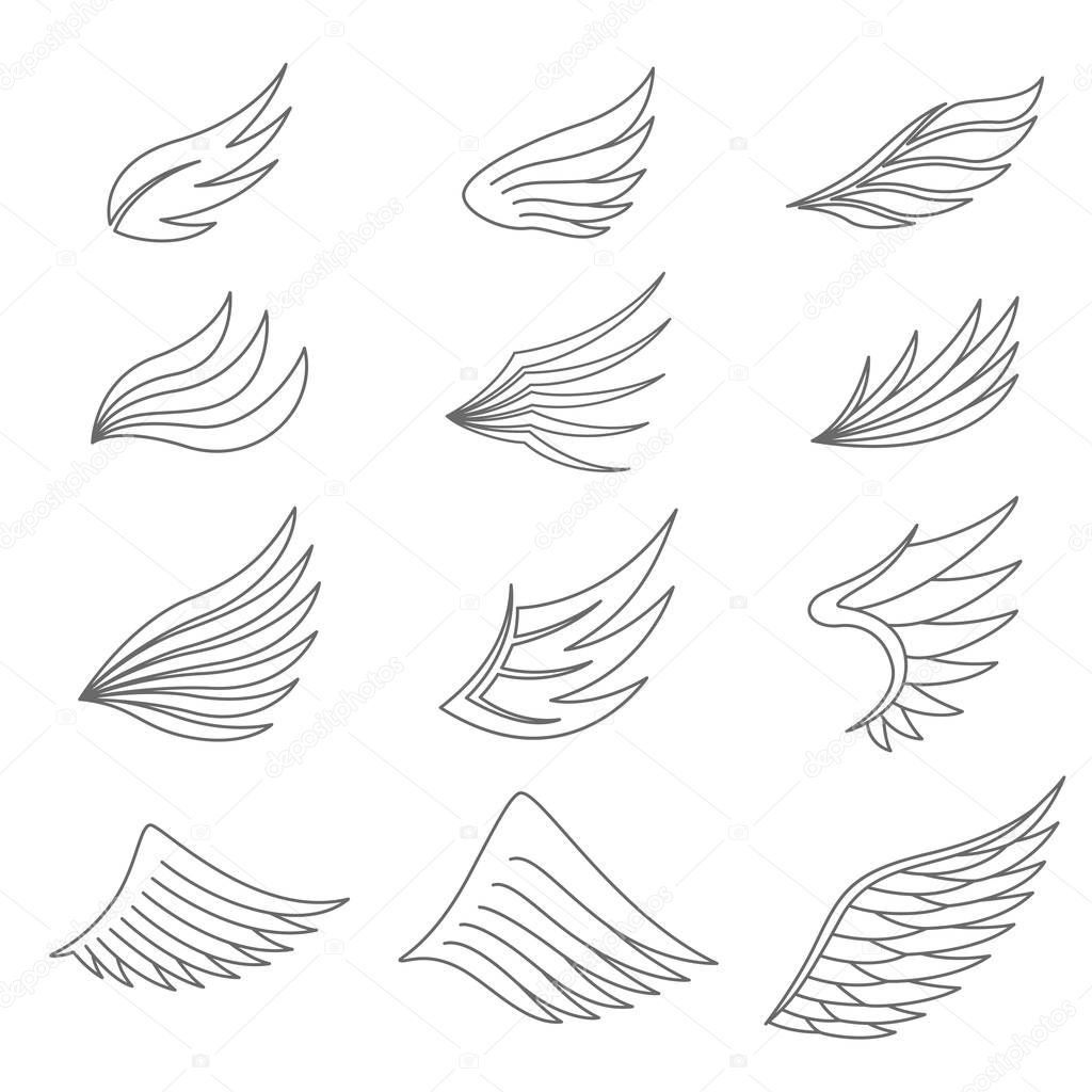 Set of gray line wings on white background