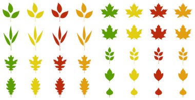 Sonbahar yaprakları.