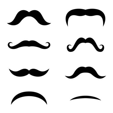 hipster bıyık set