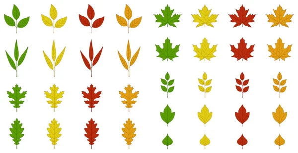 Reihe Von Herbstblättern — Stockvektor