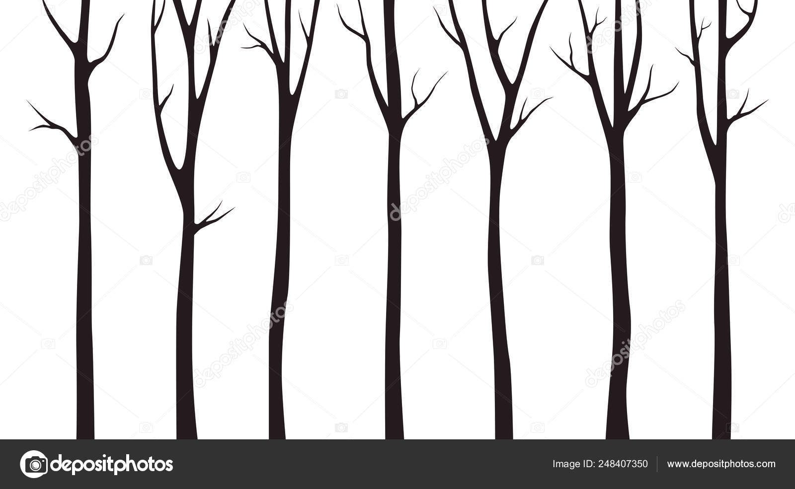 Download Birch Tree Silhouette White Background Vector Image By C Pureimagination Vector Stock 248407350