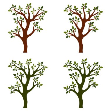 Beyaz arkaplanda izole edilmiş ağaçlar