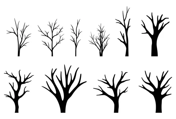 Zbiór Drzew Sylwetki Tle — Wektor stockowy