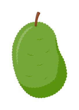 Beyaz arkaplanda yalıtılmış Jackfruit, düz tasarım, meyve vektörü çizimi
