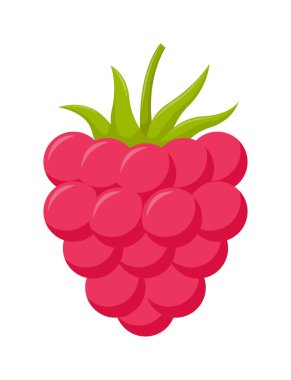 Beyaz arkaplanda yeşil yapraklı ahududular, düz tasarım, meyve vektör illüstrasyonu