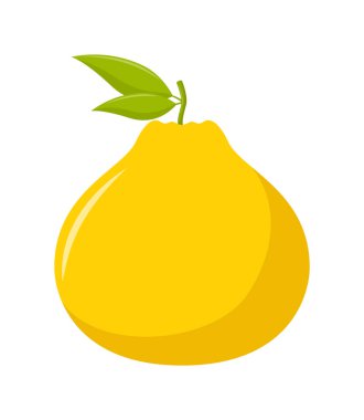 Beyaz arkaplanda yeşil yapraklı Ugli meyvesi, düz tasarım, meyve vektörü illüstrasyonu