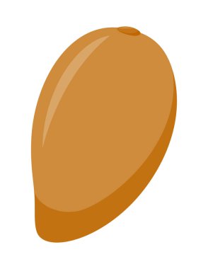 Zapote beyaz arkaplanda izole edildi, düz tasarım, meyve vektörü illüstrasyonu