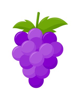 Beyaz arkaplanda yalıtılmış yeşil yapraklı mor üzüm, düz tasarım, meyve vektörü çizimi