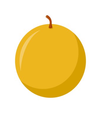 Beyaz arkaplanda izole edilmiş bal kavunu, düz tasarım, meyve vektörü çizimi