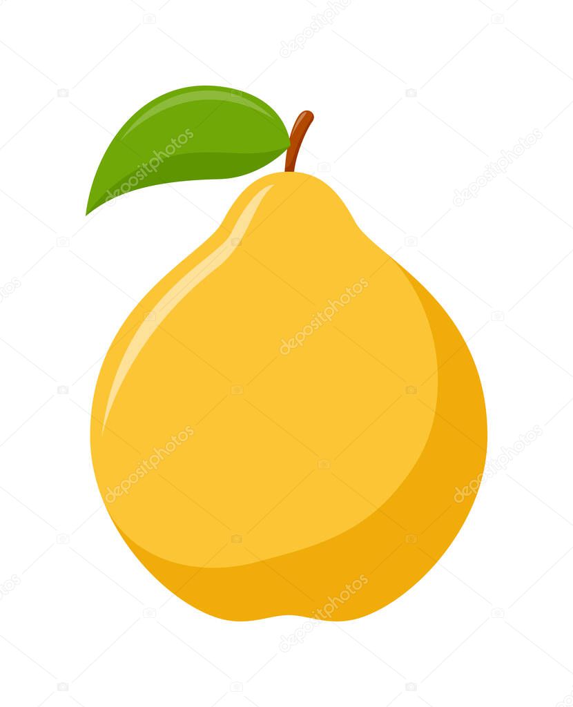 Quince with green leaves isolated on white background, flat design, fruit vector illustration