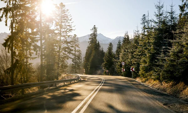 Her iki tarafta güzel bir orman olan boş güneşli aydınlık Dağları otoyol veya ülke yol