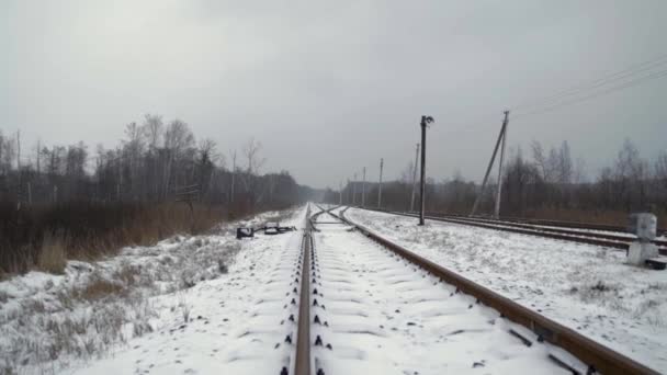 Triste Ferrovia Invernale Nella Foresta — Video Stock