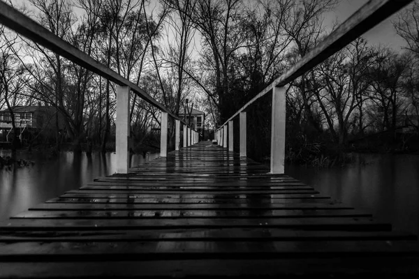 Vista assustadora da doca de uma casa de lago abandonada cercada pelo contorno de árvores assustadoras — Fotografia de Stock