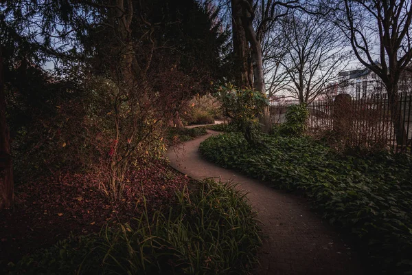 Caminhos com relvados verdes, no jardim. Vista superior da passarela curva ao lado de um rio — Fotografia de Stock