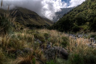 Ormanlı dağ yamacında alçak yerde bulut var. Her zaman yeşil olan kozalaklı ağaçlar manzaralı bir yerde gizleniyor.