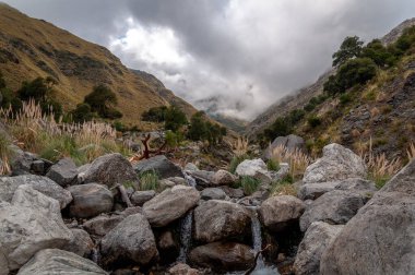 Ormanlı dağ yamacında alçak manzaralı bir bulut büyük kayaların arasında eriyen su izleri var.