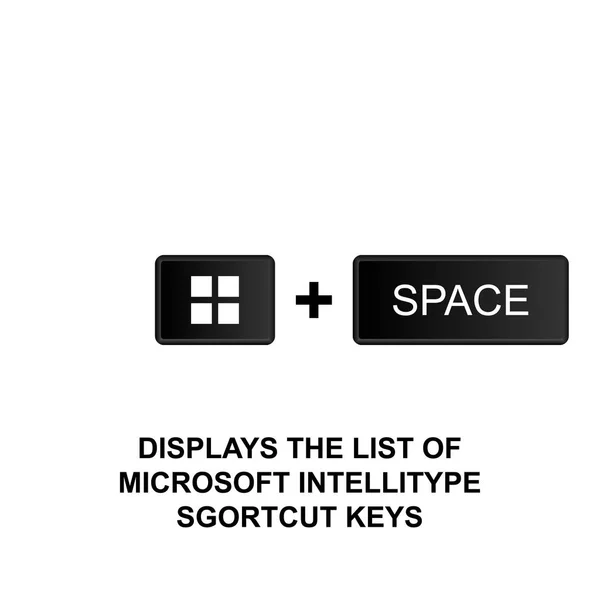 Raccourcis clavier, afficher la liste des touches de raccourci Microsoft intellitype icône. Peut être utilisé pour le web, logo, application mobile, UI, UX — Image vectorielle