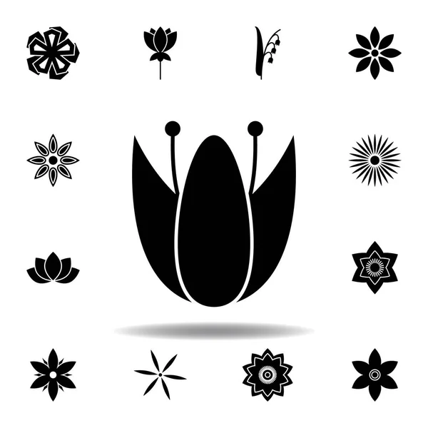 Blom ikon i trendig platt stil isolerad. Uppsättning blommor illustration ikoner. tecken, symboler kan användas för webb, logo, mobilapp, UI, UX — Stock vektor