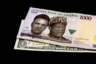 Nijeryalı Naira banknot üst bize doları bill - global ticaret - Döviz