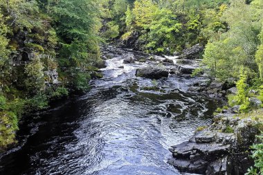 İskoçya Highlands, Rogie Falls yakınındaki bir dere.