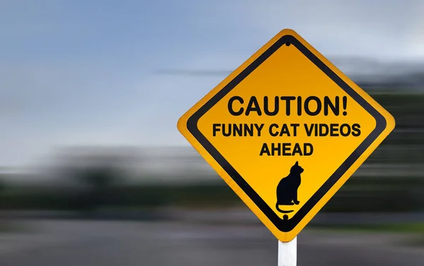Warning sign for funny cat videos ahead - funny road sign with background blur