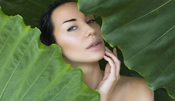 Young Woman Face Surrounded Tropical Leaves Woman Face Natural Nude — Stock Photo, Image