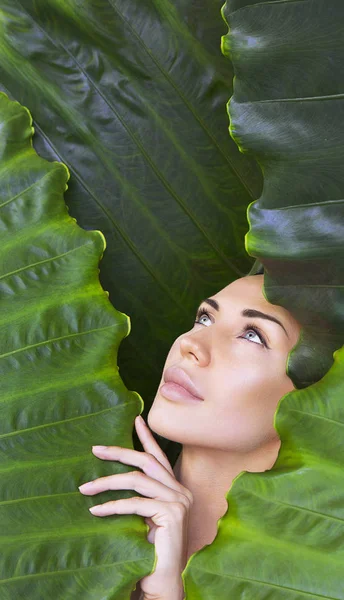 Young Woman Face Surrounded Tropical Leaves Woman Face Natural Nude — Stock Photo, Image