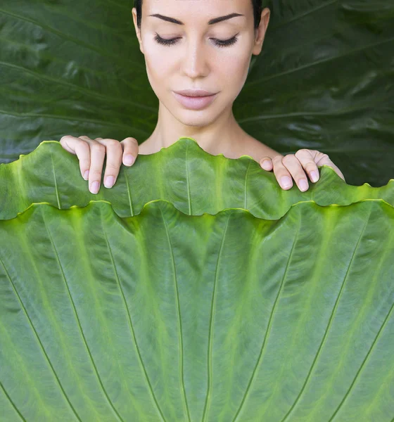 Young Woman Face Surrounded Tropical Leaves Girl Covered Leaves Bed — Stock Photo, Image