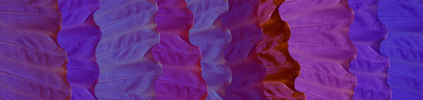 Skinali. Purple, lilac and blue tropical leaves. Eco concept. Ju