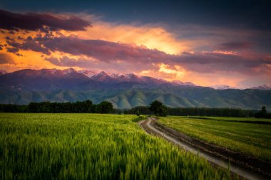 Kazakistan dağlarında güzel gün batımı