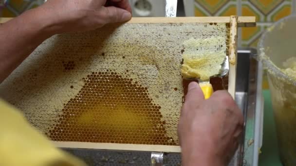 Uncovering the honeycombs with the scraper by hand, honey harvest — Stock Video