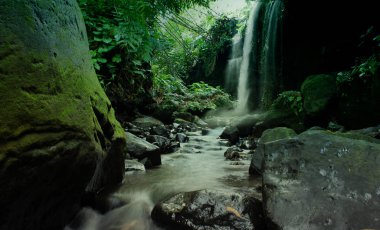 tropikal ormanda güzel küçük şelale