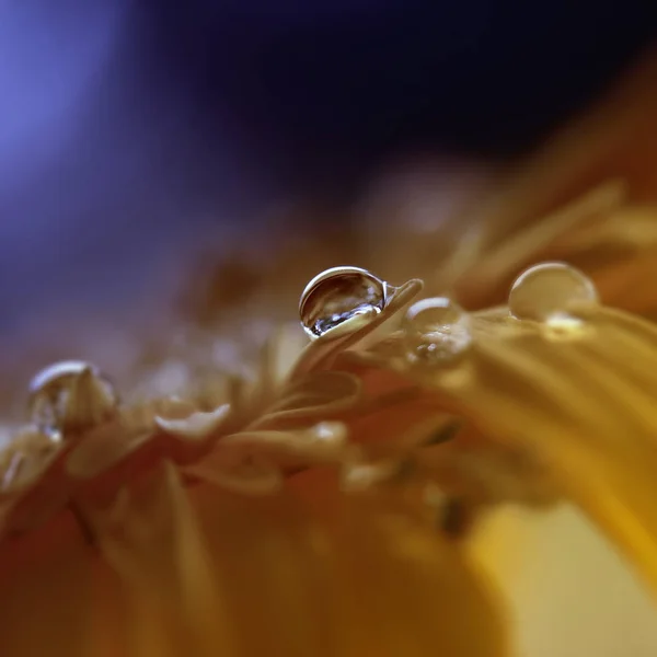 Fondo Abstracto Con Gotas Agua —  Fotos de Stock