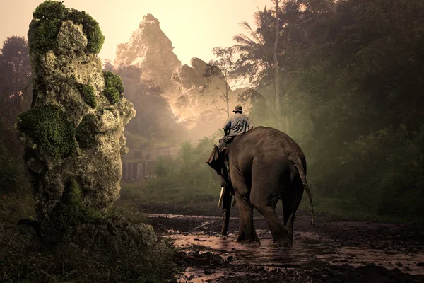 Elefante Mulher Com Mochila Estrada — Fotografia de Stock