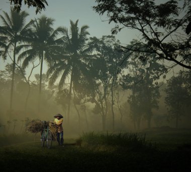 Sıvı stok fotoğrafının yüzeyinde siyah ve beyaz benekli sivrisinek.