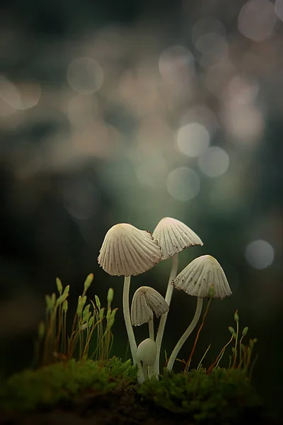 Setas Blancas Sobre Fondo Verde — Foto de Stock