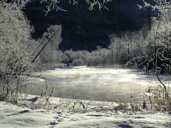 Winter Sprookje Het Bevroren Bos Buurt Van Bevroren Rivier — Stockfoto