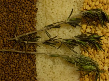 Üç croups, bezelye, pirinç ve buğday biberiye üç şube ile bir dizi