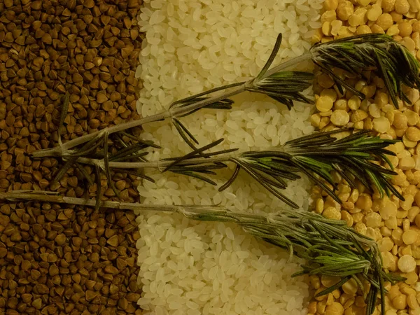 Üç croups, bezelye, pirinç ve buğday biberiye üç şube ile bir dizi