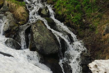 Orman nehir akarsu su yavaş yavaş akar. Yosunlu nehir dere kayaları. Yosunlu orman nehir dere görünümü.