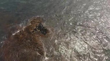 Devasa okyanus dalgalarının çarpışma ve köpürme görüntülerinin yukarıdan aşağıya doğru görüntüsü. Pasifik Okyanusu 'nun dalgaları taşa çarpıyor. Kamçatka Yarımadası