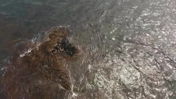 Vue aérienne de haut en bas des vagues géantes de l'océan qui s'écrasent et moussent. Des vagues de l'océan Pacifique s'écrasent sur la pierre. Péninsule du Kamchatka — Video